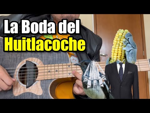 La Boda del Huitlacoche - Tutorial Bajo Quinto (Requinto)