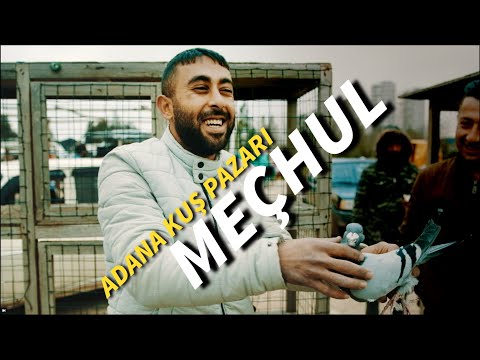 Thumbnail for Adana Güvercin ve Kuş Pazarı | Meçhul | Güvercin Pazarlığı | Güvercin Fiyatları | Adana Dewlap
