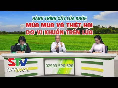 Thumbnail for Bệnh Vi Khuẩn Xâm Nhập Vào Cây Lúa Bằng Con Đường Nào?