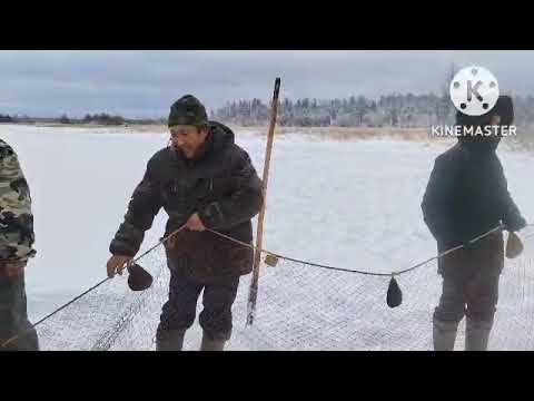 Муҥха - 2022 &quot;Кировская СОШ&quot;