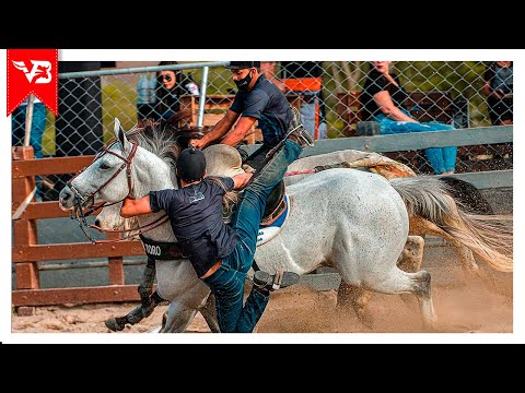 Vaqueiro Patrão - Pisadinha do Vaqueiro (Clipe Vaquejada) VB Oficial