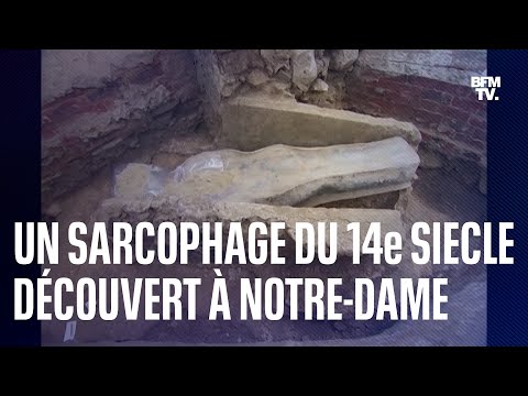 Thumbnail for Un sarcophage en plomb du XIVe siècle a été découvert sous la nef de Notre-Dame de Paris