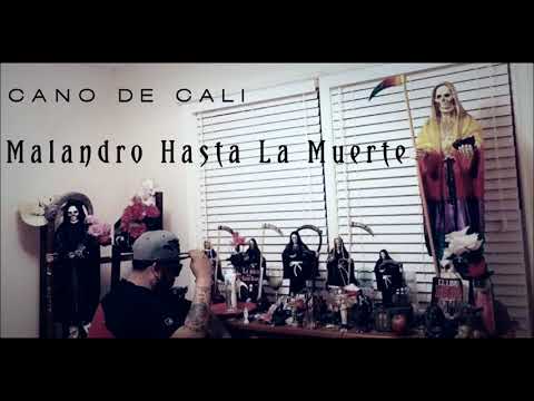 Cano De Cali - Malandro Hasta La Muerte (Malandro De Guanajuato)
