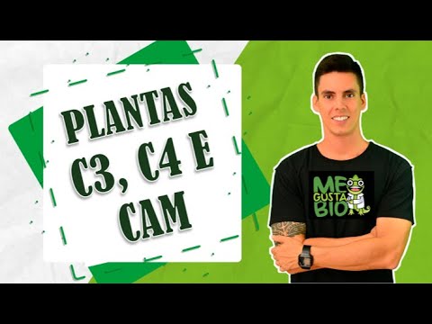 PLANTAS C3, C4 E CAM - RESUMO PROFESSOR GUSTAVO SCHMIDT