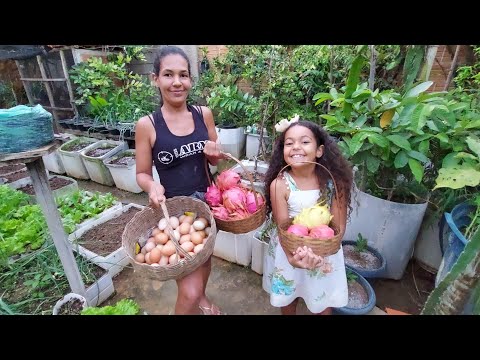 Thumbnail for Horta frutas e galinha, na cidade nunca mais fui a feira