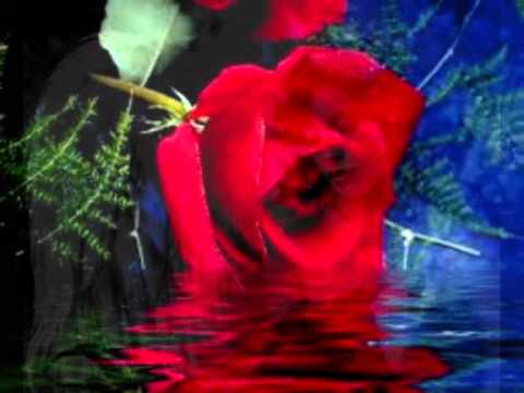 Thumbnail for Borowa MC Viskaistakajai meitinjai