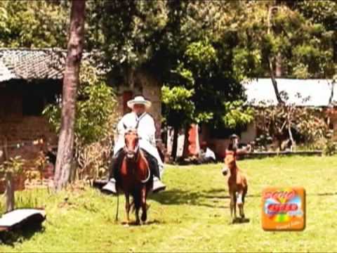 Thumbnail for WALTER TAMBO JARA - FLOR BONITA.mpg