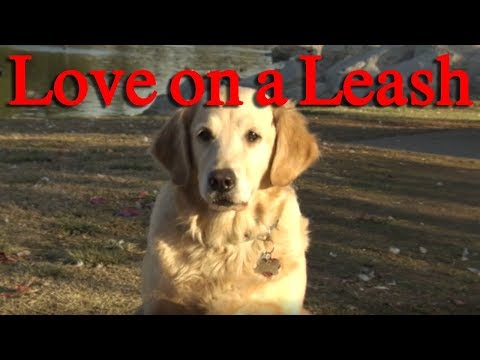 Love on a Leash - ralphthemoviemaker