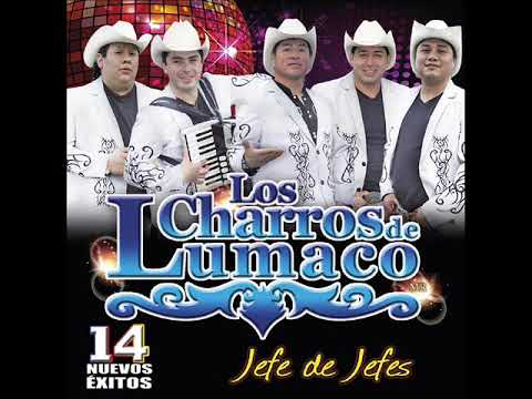 Thumbnail for Los Sabanales -  Los Charros de Lumaco -  Master Media Ltda