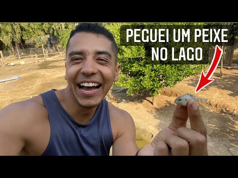 Peguei uma tilápia com a porta que fiz para o viveiro | Aves Recriar