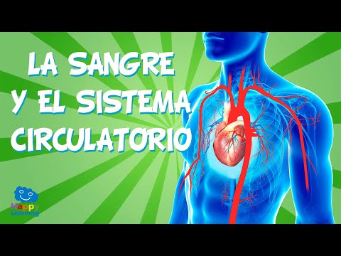 Thumbnail for LA SANGRE Y EL SISTEMA CIRCULATORIO | Videos Educativos para Niños