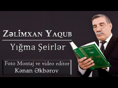 Thumbnail for Zelimxan Yaqub - Yigma Seirler Yeni