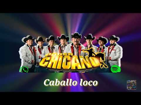 Popurri de huapangos EN VIVO???????? - PODER CHICANO -NORTEÑAS PA BAILAR