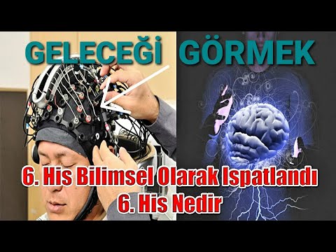 Altıncı Hisse Bilimsel Ispat Altıncı His Nedir? 6.his