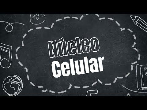 Biologia I – Núcleo Celular