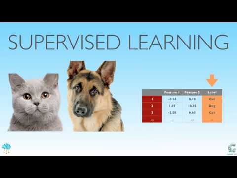 Weekly #83: Get Started on ML and DL