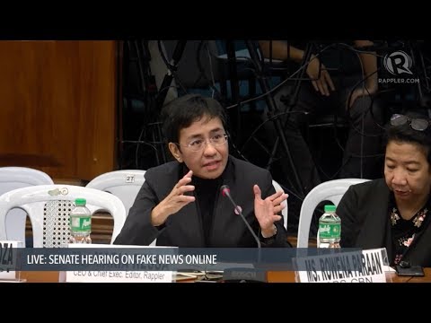 Spread of fake news meant to silence, intimidate critics – Maria Ressa