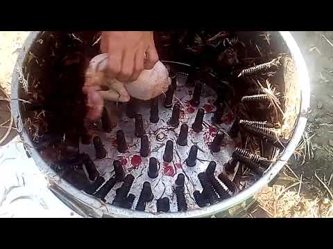 Перосъёмная машина своими руками (ощип)
