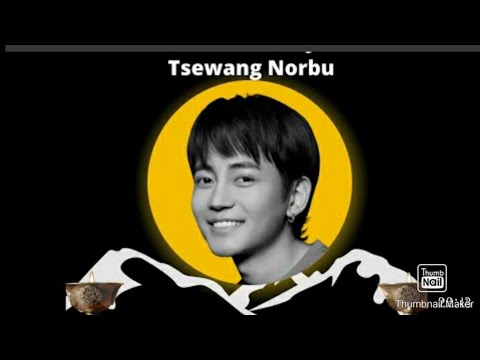 དཔའ་བོ་ཚེ་དབང་ནོར་བུ་//tsewang norbu