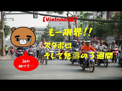 【Vietnam編】誰か助けて!ズタボロの熱帯地域!!でも、、、