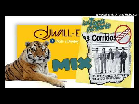 Thumbnail for MIX TIGRES DEL NORTE (Corridos Prohibidos) - Wall-e Dj