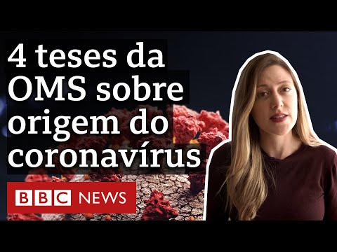 Thumbnail for De onde veio o coronavírus? As hipóteses analisadas pela OMS na China