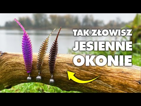 Thumbnail for Czy TANTA łowi RYBY JESIENIĄ ? SPRAWDZAM SKUTECZNOŚĆ