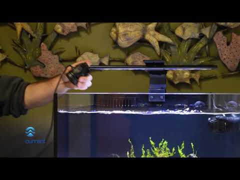 How to Clean & Maintain Your eFlux Wave Pumps