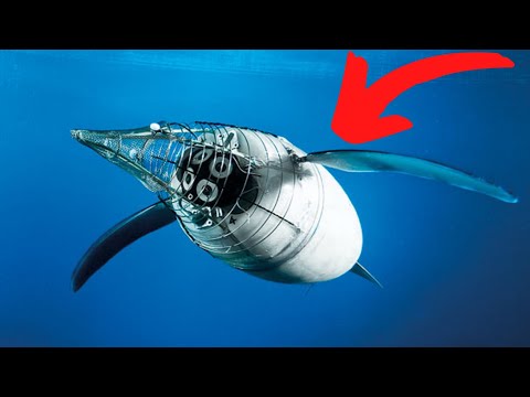 10 ROBOT HEWAN YANG MEMUKAU !!!! TEKNOLOGI CANGGIH TEKNOLOGI MASA DEPAN ALAT CANGGIH