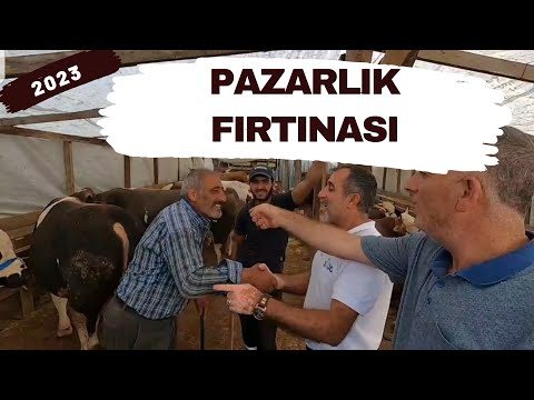 Thumbnail for Pazarlık Fırtınası Koptu | 2023 Kurbanlık Fiyatları