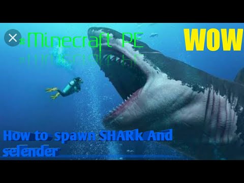 Thumbnail for How to spawn  SHARk And selender #Minecraft INDO