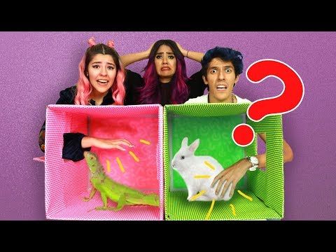 ¿QUÉ HAY EN LA CAJA? | RETO POLINESIO | LOS POLINESIOS
