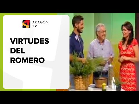 Virtudes del romero