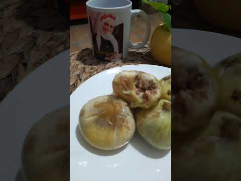 ماهي فوائد التين