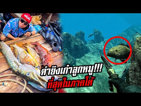 ดำยิงเก๋าลูกหมู!! เปิดอีกโลกแห่งการล่าวัตถุดิบ!! ที่สุดแห่งภาคใต้!!