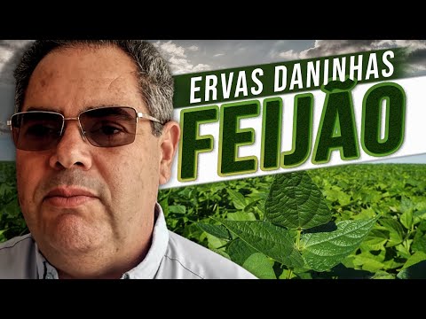 Thumbnail for CONTROLANDO ERVAS DANINHAS NO FEIJÃO