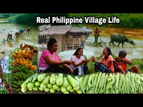 Thumbnail for This Is What It's Like Living In The Village | Real Philippine Village Life