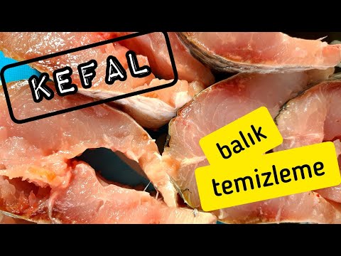 Kefal | Balık nasıl temizlenir?