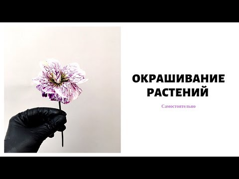 Как покрасить цветы // обучение флористике
