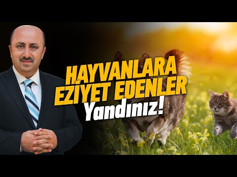 Thumbnail for İşte Cennete Girecek 10 Hayvan! | Ömer Döngeloğlu