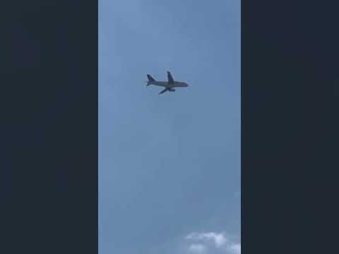 South African Airways A319 Reg ZS-SFK leaving Kenneth Kaunda Intl Lusaka Zambia. #shorts #airbus