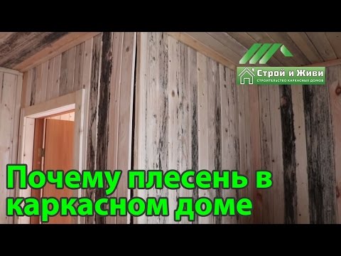 Thumbnail for Дом покрытый зеленью, абсолютно весь. Причины. Как не допустить? Не "Строй и Живи"