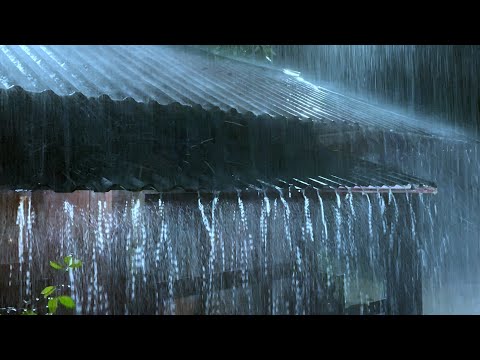 Get Over Insomnia with Heavy Rain &amp; Robust Thunder Sounds Pierces a Tin Roof of Forest Farm at Night