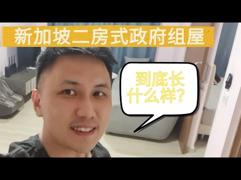 Thumbnail for 新加坡二房式政府组屋到底长什么样？