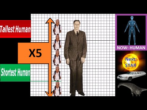 Thumbnail for Size Comparison (Smallest VS Largest)