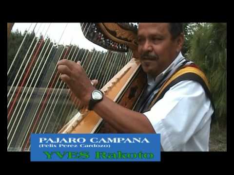 PAJARO CAMPANA  YVES RAKOTO