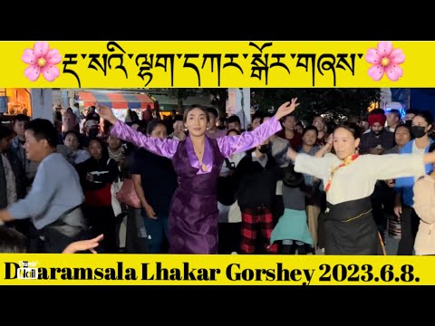 Dharamsala Lhakar Gorshey||2023-6-8༼ལྷག་དཀར་བཟང།༽#tibetanvlogger @choesang95vlog