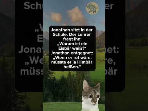 Warum ist ein Eisbär weiß? ????‍❄️????