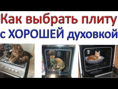 Thumbnail for Как выбрать плиту с ХОРОШЕЙ ДУХОВКОЙ