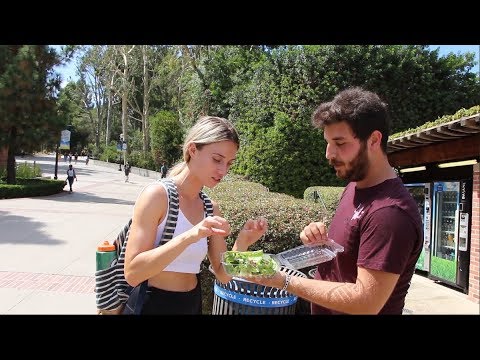 Amerika&apos;da Çiğ Köfte Denettim | UCLA (Kaliforniya Üniversitesi)